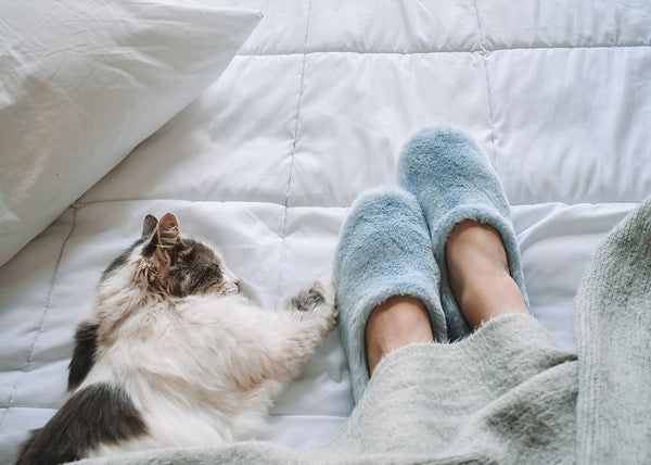 slipper light blue with  cat 